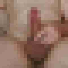 mikefmuc