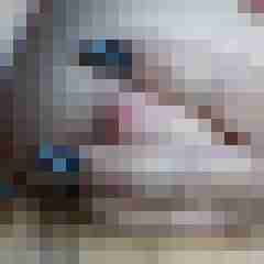 youfortwo