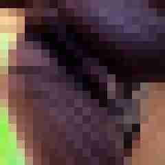 hotlilly