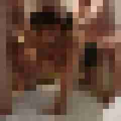 LustLady72