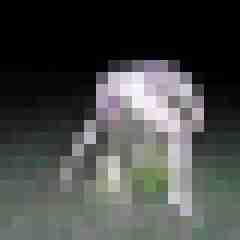 Tscharlie7