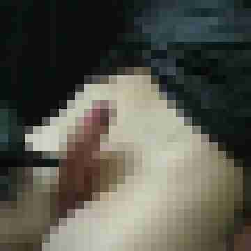 xxliebhaber