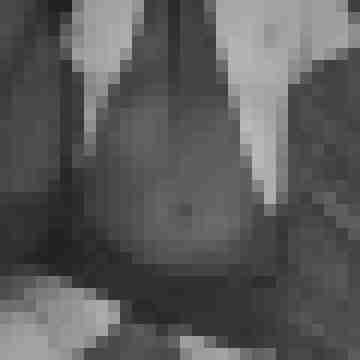 leckmichmuschi66