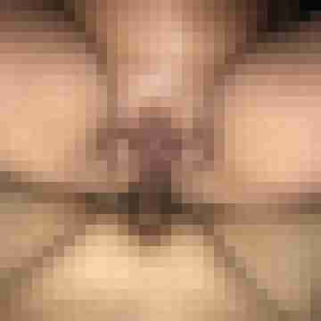 Kater_CGN_69