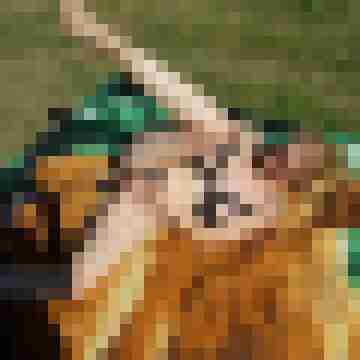 futzy69