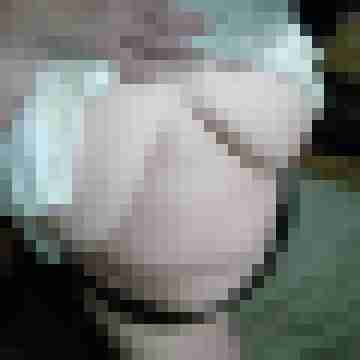 Mistbiene