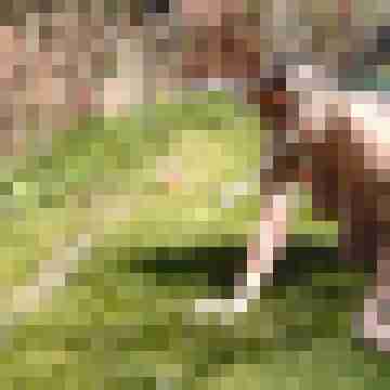 Letsy4u2c