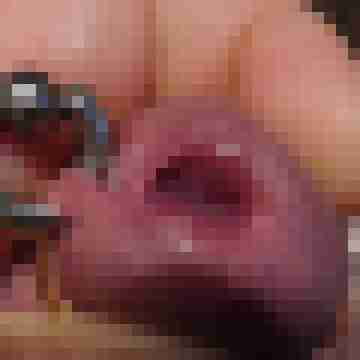 duiz