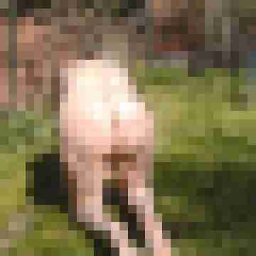 Letsy4u2c