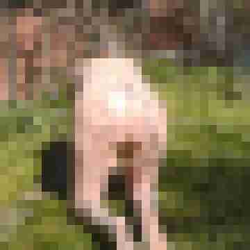 Letsy4u2c