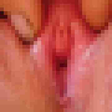 duiz