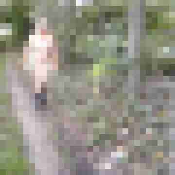 Letsy4u2c