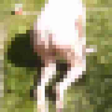 Letsy4u2c