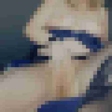 IceAngelDeluxe-