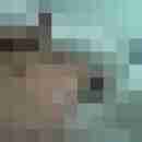 Thomas-SR-