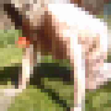 Letsy4u2c