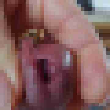 duiz