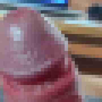 duiz