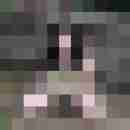 HerrundSub