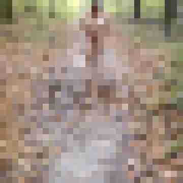 Letsy4u2c