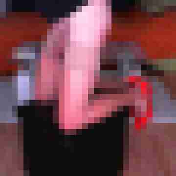 camaelion54