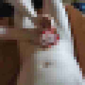 Willi007
