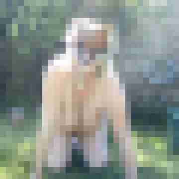 Letsy4u2c