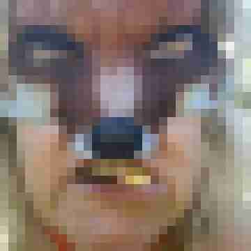 Letsy4u2c