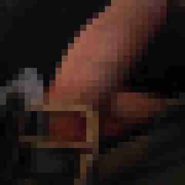 hornyxsar