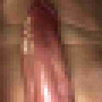 AO_Schlammficker