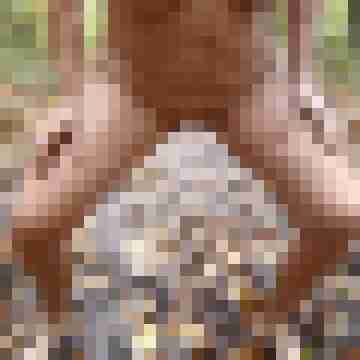 Letsy4u2c