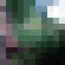 Graffie