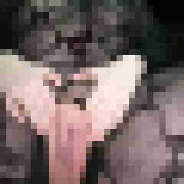 IceAngelDeluxe-