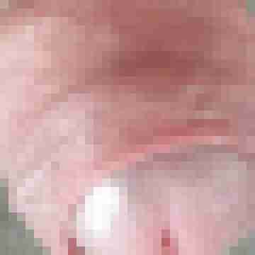 Bbbb71