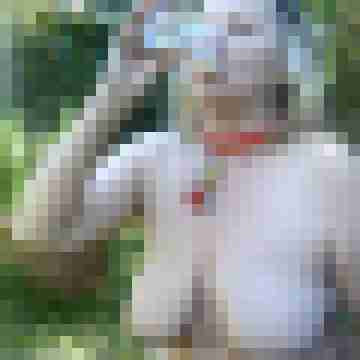 Letsy4u2c
