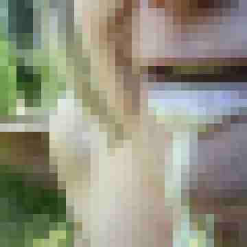 Letsy4u2c