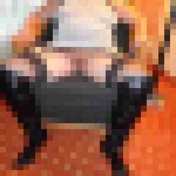 PAARR67