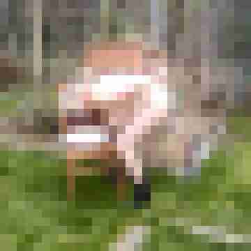 Letsy4u2c