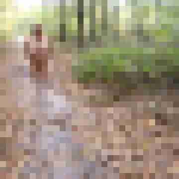 Letsy4u2c