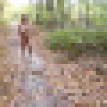 Letsy4u2c