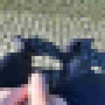 bigeil68