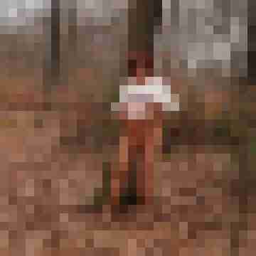 Pulika