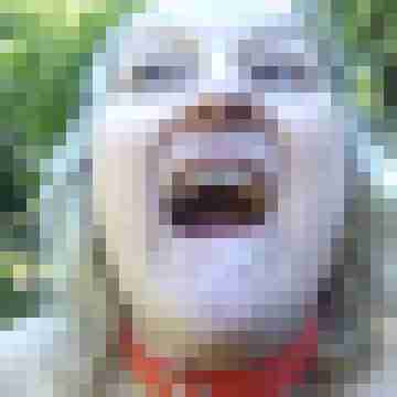 Letsy4u2c