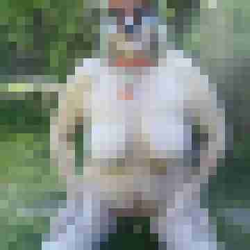 Letsy4u2c
