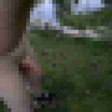 Phallus4