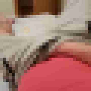 patte83