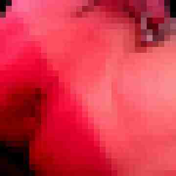 hot4cock77
