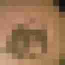 LeSMan
