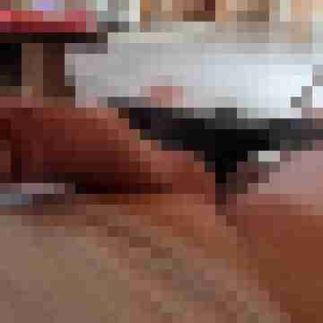 unslh