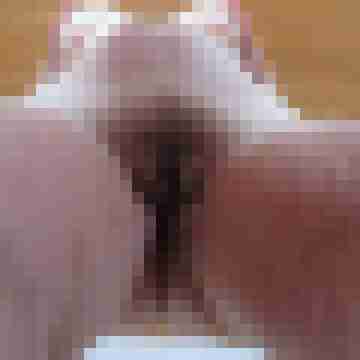 squirting50